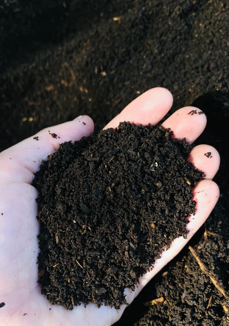 Hand holding fresh Bartolome Blooms worm castings