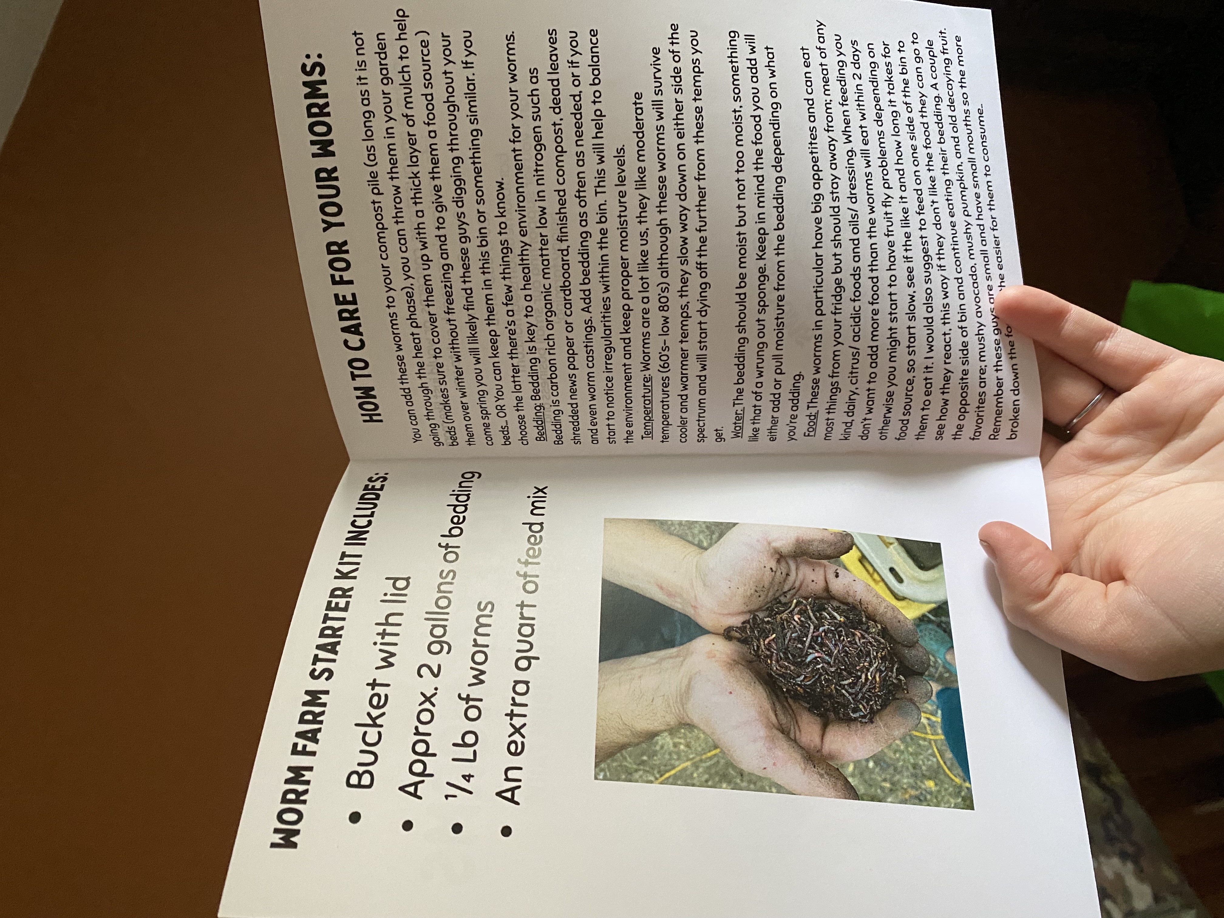 Worm starter kit supplies arranged on a table